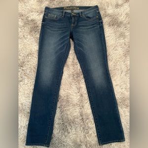 Gap ~ Premium Skinny Dark Wash Denim Jean - Regular Size 8/29A